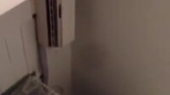 porn porn